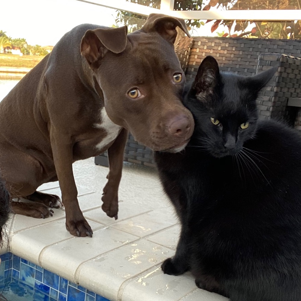 Meet your Posher, Denise